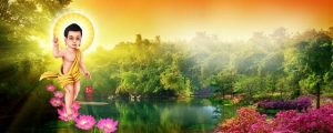 Ý nghĩa Phật Đản Ý nghĩa Phật Đản