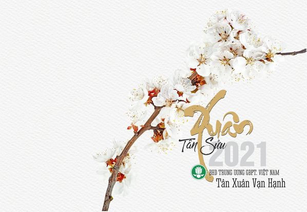 Thiệp chúc Xuân của BHD Trung ương GĐPT Việt Nam